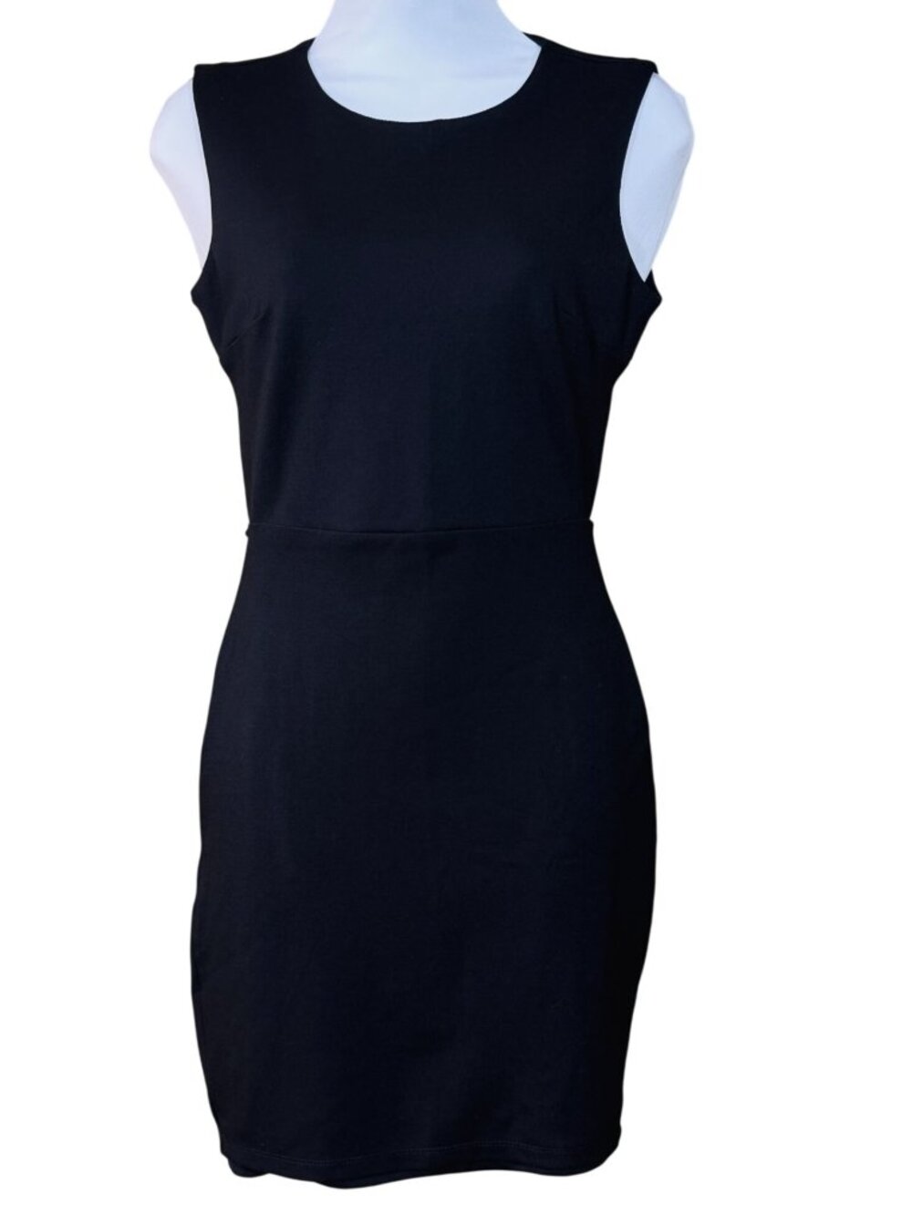 Lulus Sleeveless Open Back Bodycon Black Mini Dress Halter Neck Lined Back Zip S